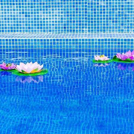 Amazing Duplex With Private Pool Close To Seville Gelves